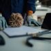 Yacht maintenance supervision desk with inspection tools